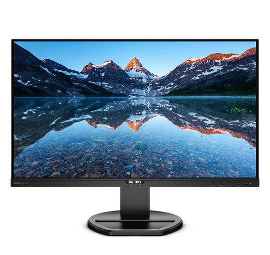 PHILIPS 25" 16:10 1920 x 1200 IPS 60Hz Business Monitor 252B9