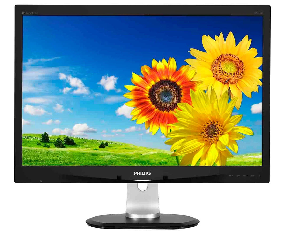 PHILIPS 24吋 16:10 1920 x 1200 IPS 60Hz Zero Power Sensor 商用顯示器 240P4QPYEB