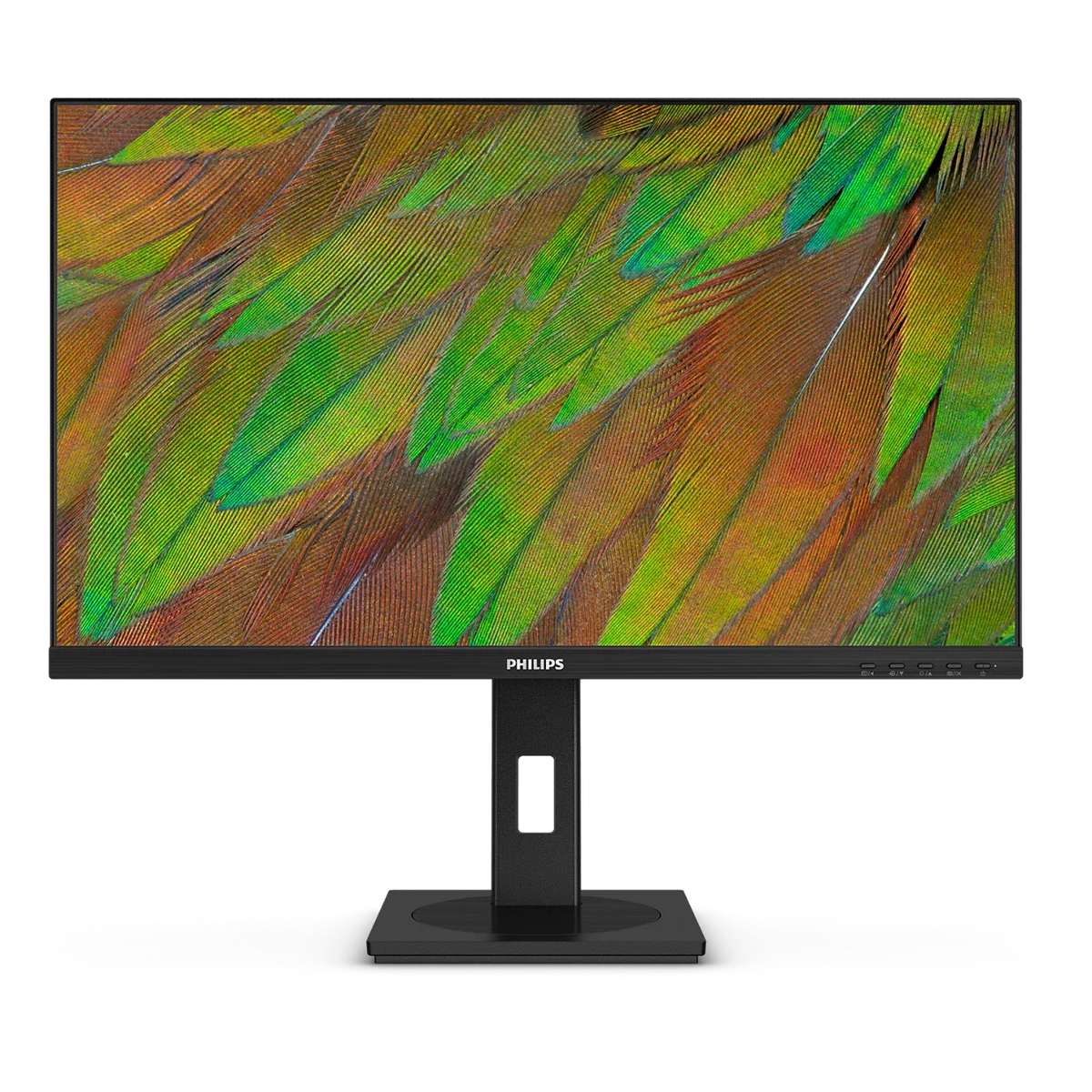 PHILIPS 27 吋 4K UHD IPS 60Hz HDR 10 商用螢幕 27B1N3800