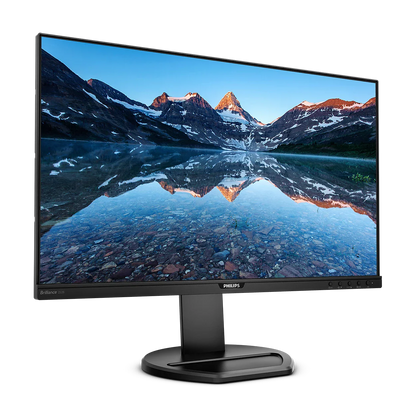 PHILIPS 25" 16:10 1920 x 1200 IPS 60Hz Business Monitor 252B9